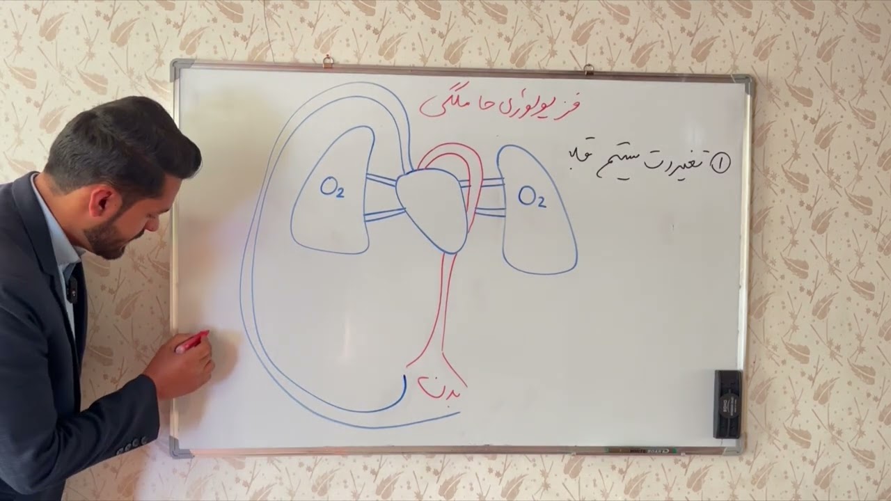 فزیولوژي زمان بارداري درس پنجم(5)