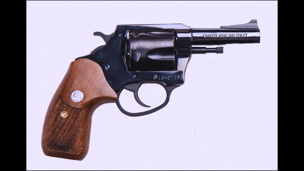 Episode #7: Charter Arms Bulldog .44SPL (A pleasant surprise).