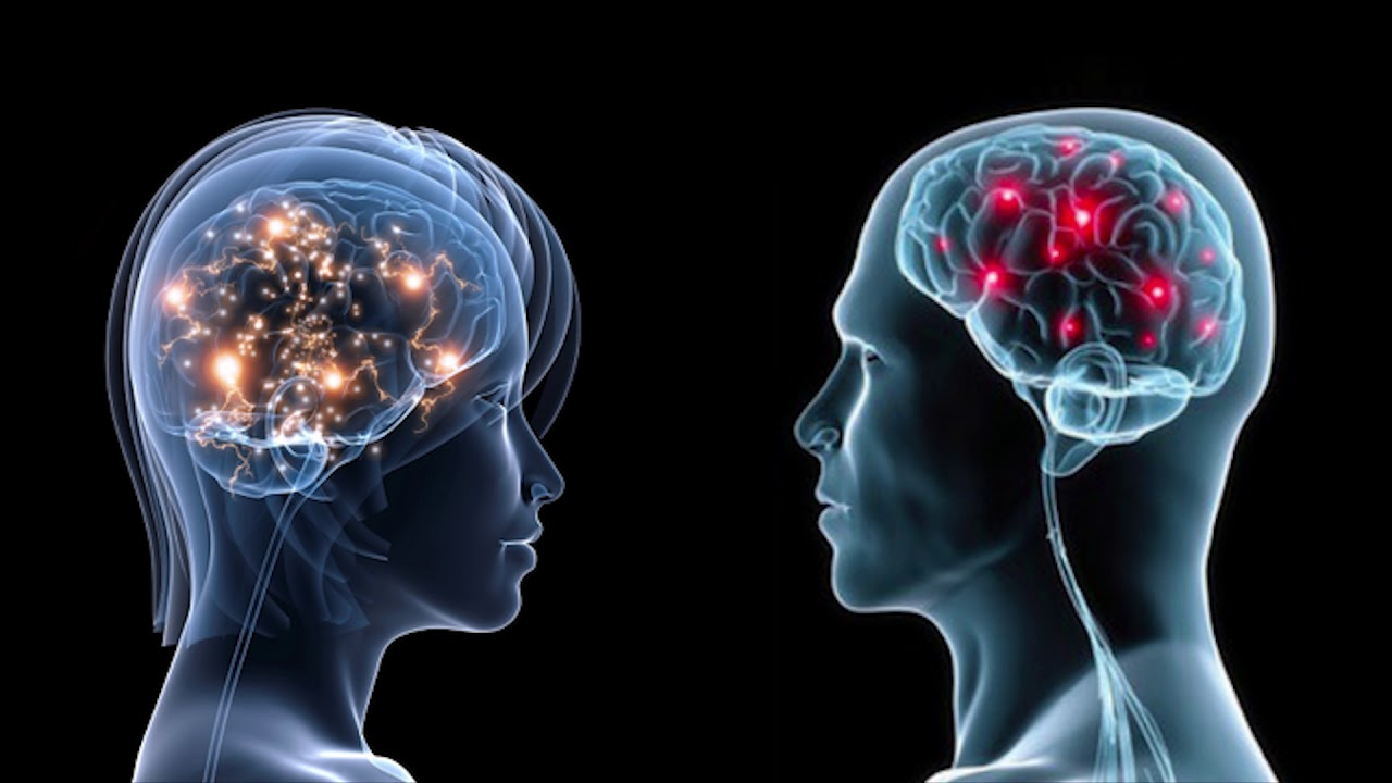 Il Primato Netino Seconda Annualit&agrave;