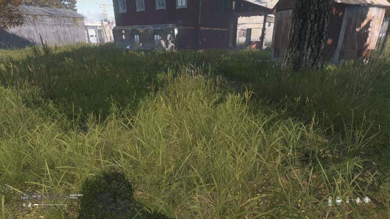 DayZ_20260222184758