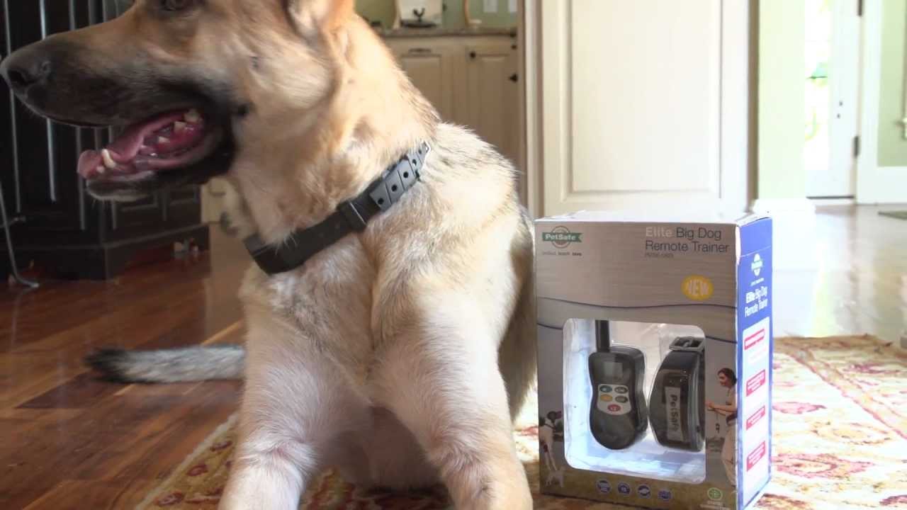 PetSafe Elite Big Dog Remote Trainer