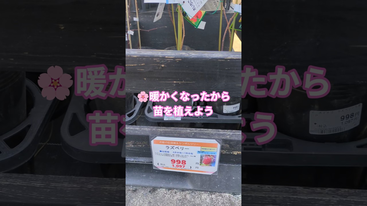 🌸果樹を育てて無料果物ゲーツ🤩