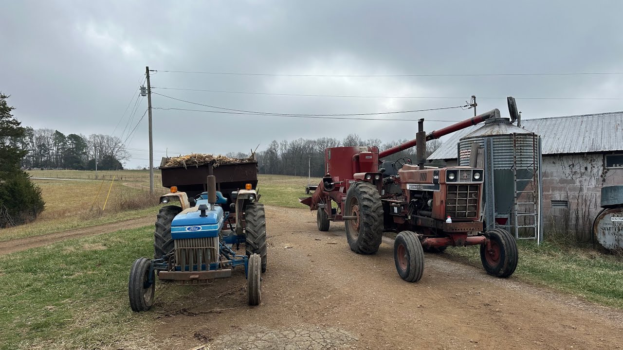 GRINDING FEED ON CHRISTMAS EVE