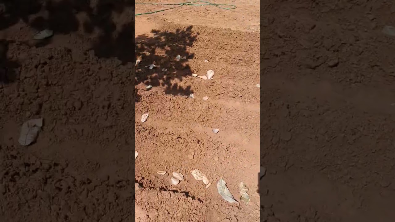 How to make organic farming pitch design #shorts #design #farming #organic
