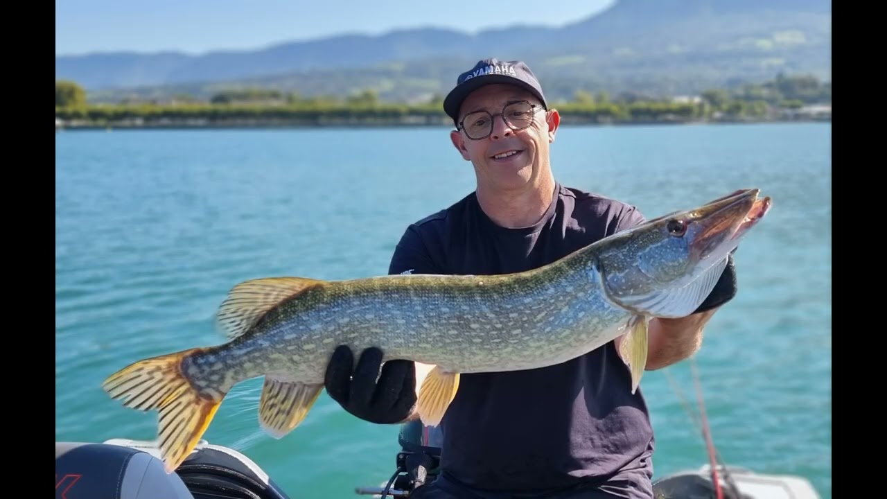 Lac du Bourget Sept. 2025 Pêche au LIVE du BROCHET