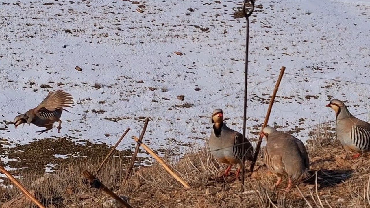 9 марта 2025 г.