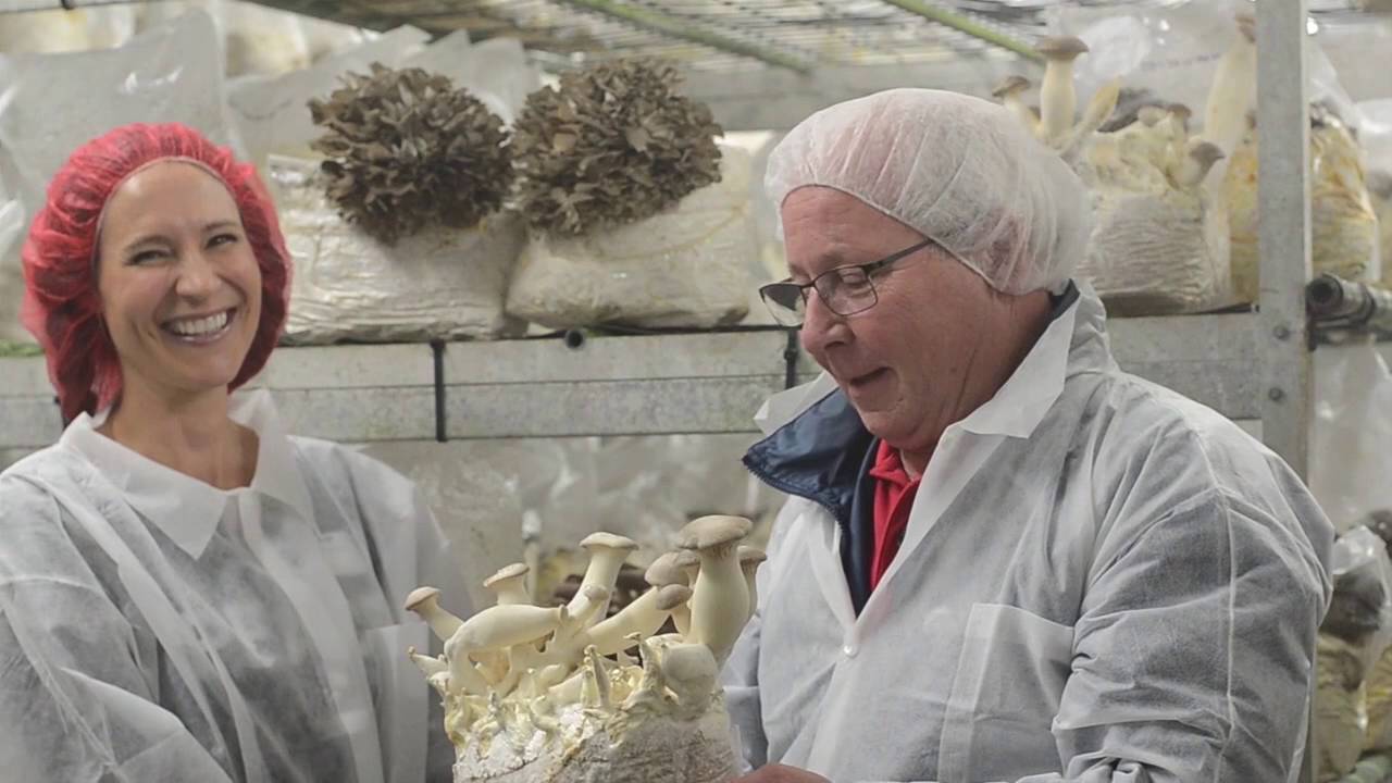 Phillips Mushroom Farm
