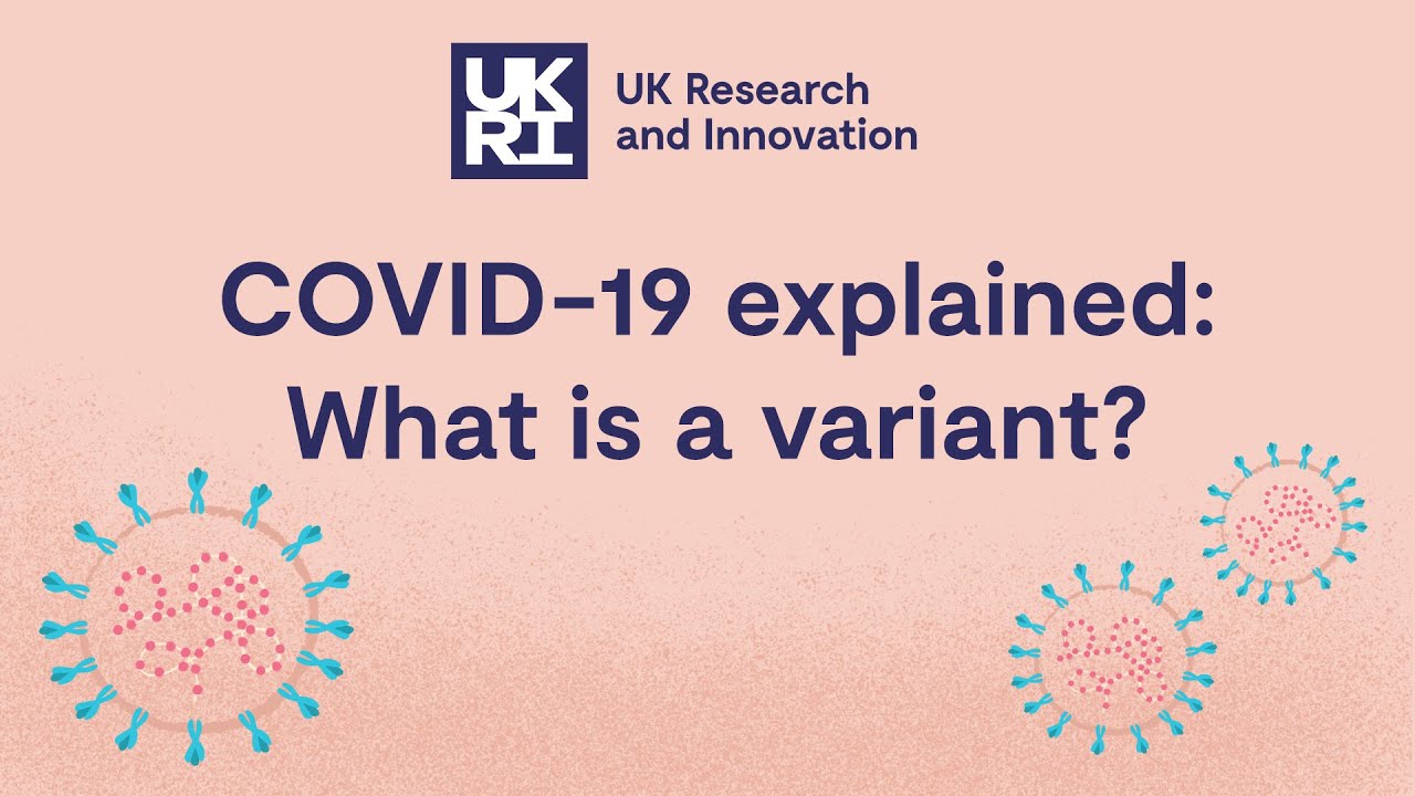 What is a virus variant? Covid-19 explained