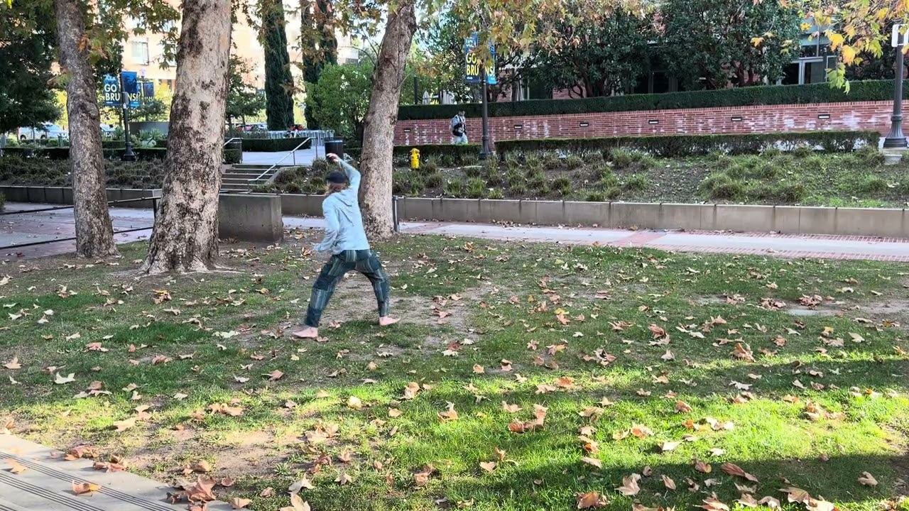 Freestyle Baguazhang 566