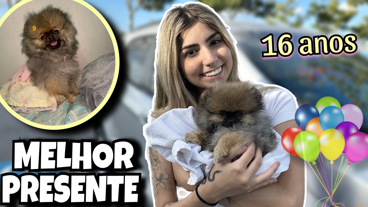 GANHEI UMA CACHORRINHA DE ANIVERSÁRIO! MELHOR PRESENTE DE ANIVERSÁRIO