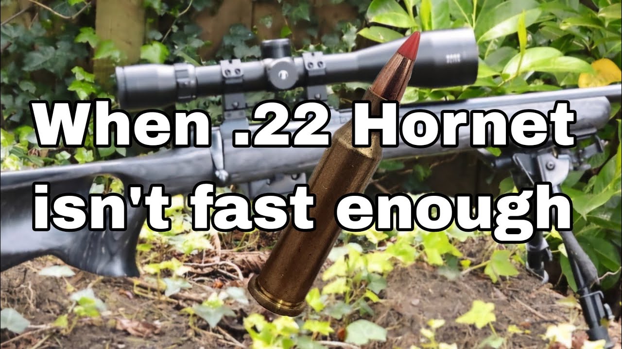 .17 Хорнет