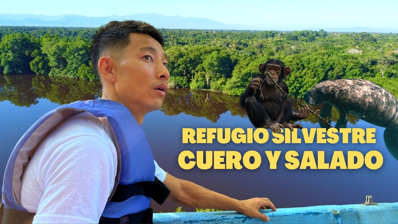 Buscando manatíes, cocodrilos y monos en Honduras | Refugio de Vida Silvestre Cuero y Salado 🇭🇳🙉🐊🦜