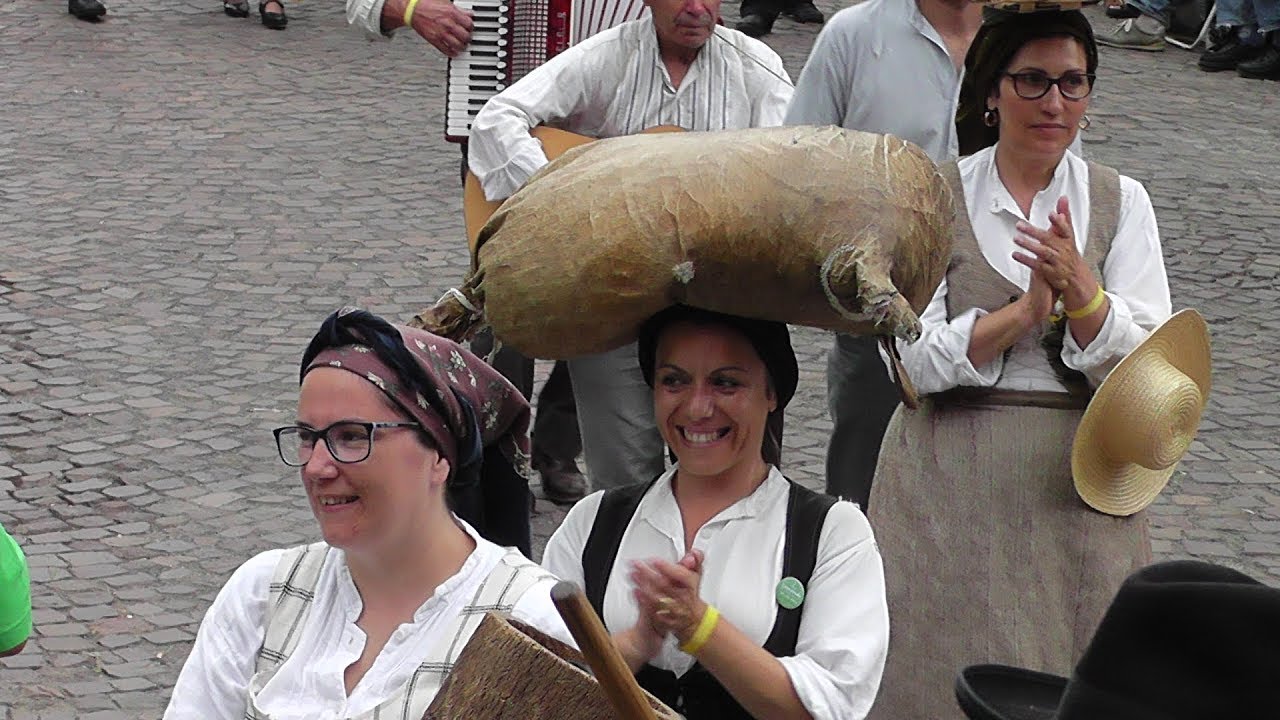 Europeade in Frankenberg   Parade