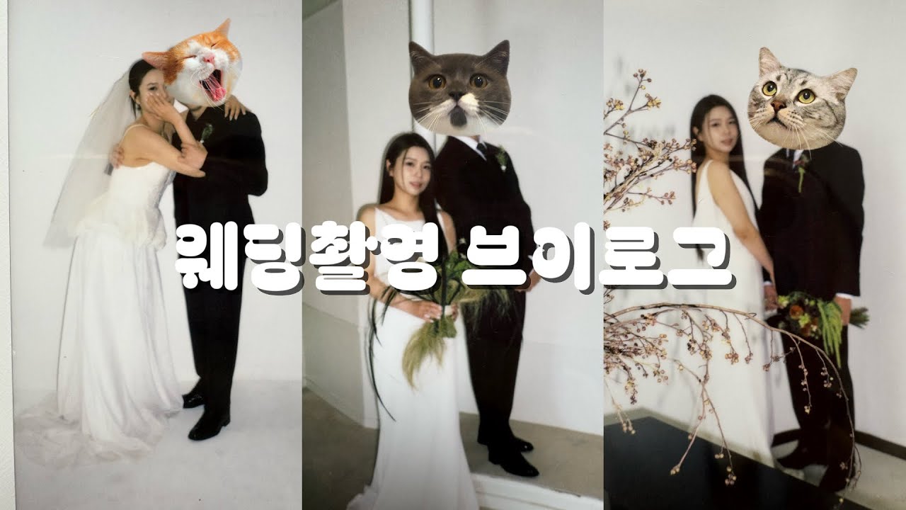 웨딩 로망 1도 없는 신부의 노마하우스 웨딩촬영 브이로그💍