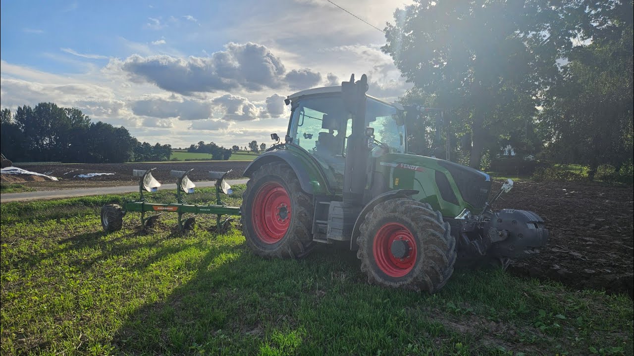 Absurdy w Krus || Maniek w fendzie || Przygotowanie do uwiązania byka
