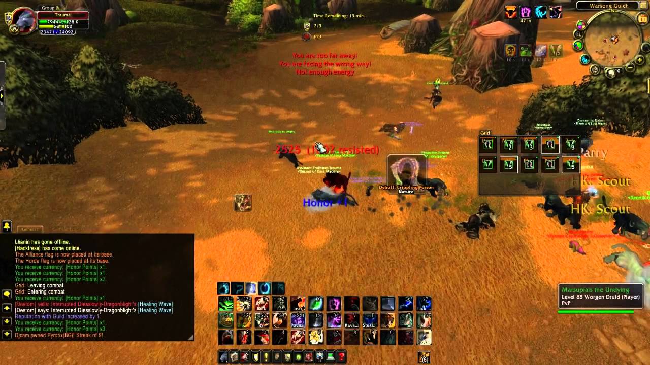 TEN FERAL DRUID WSG MASSACRE
