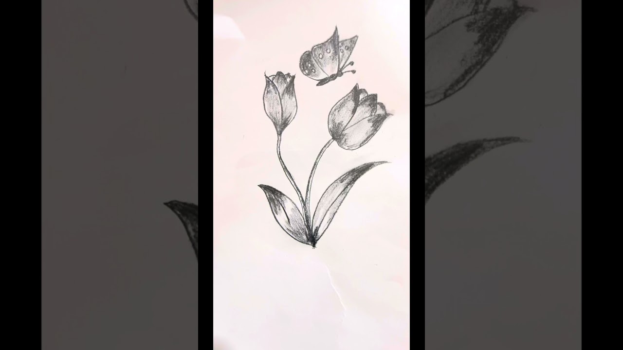 Easy drawing /flower with butterfly #easydrawing #drawing 