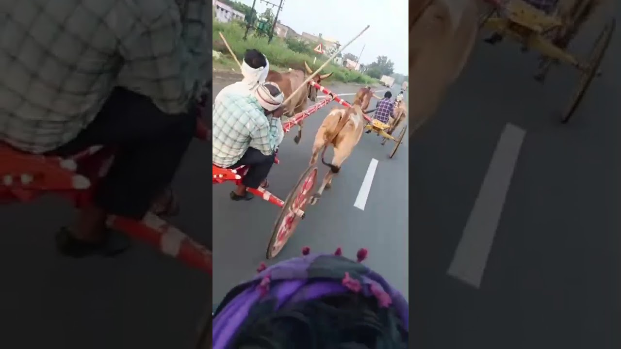 Balsamand. se nimrani.2 jhagadon ki fry#com#Hatim_vlogg#