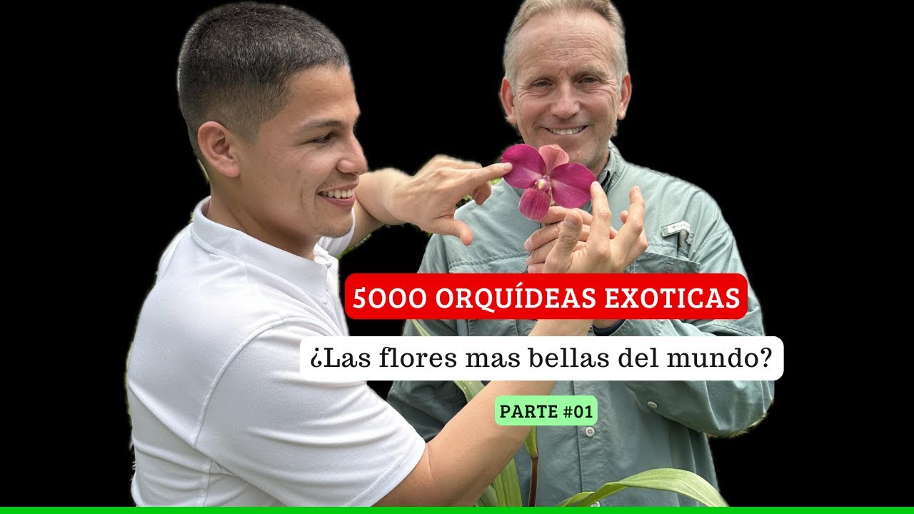 Orquídeas exóticas- Más de 5000 especies diferentes.