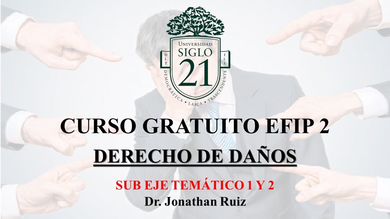 EFIP 2- SIGLO 21 - DERECHO DE DAÑOS SUB EJE TEMÁTICO 1 Y 2