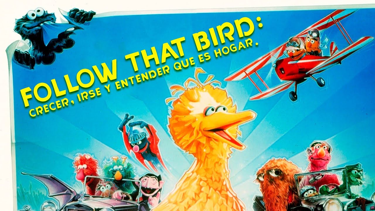 Follow That Bird: crecer, irse y entender qué es hogar