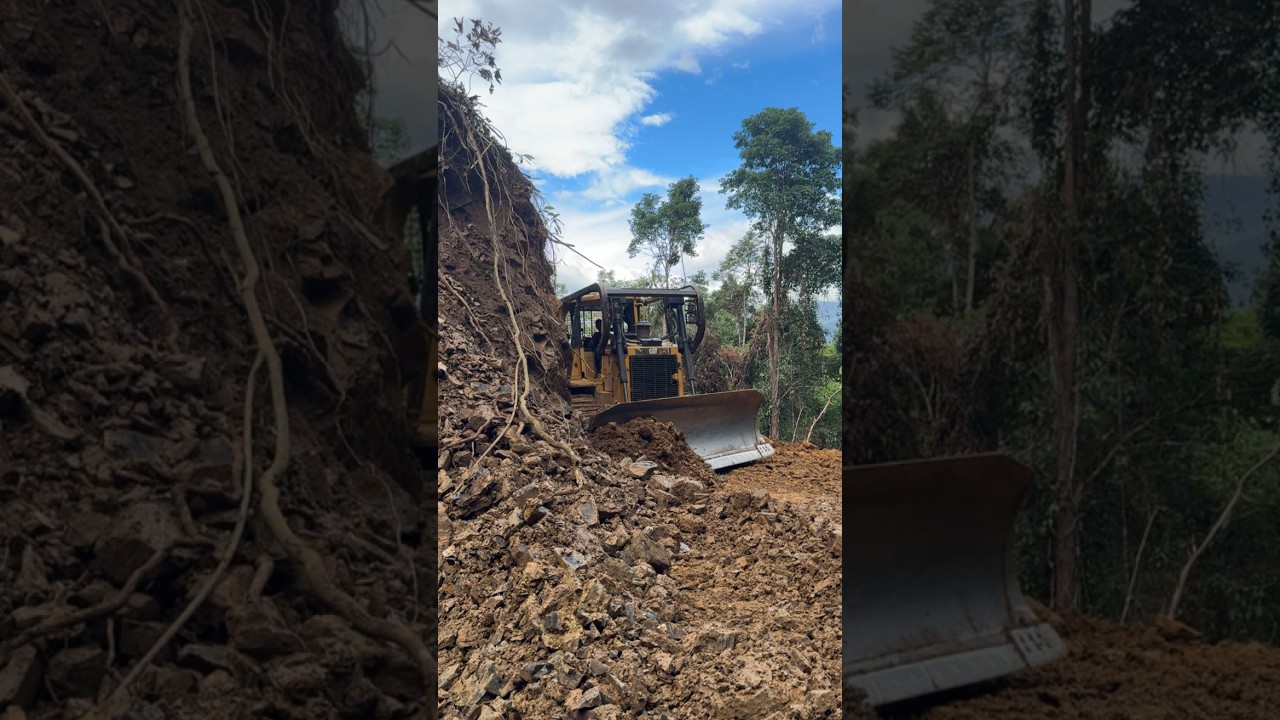 CAT D6R XL Bulldozer Process Quickly Building Plantation Roads