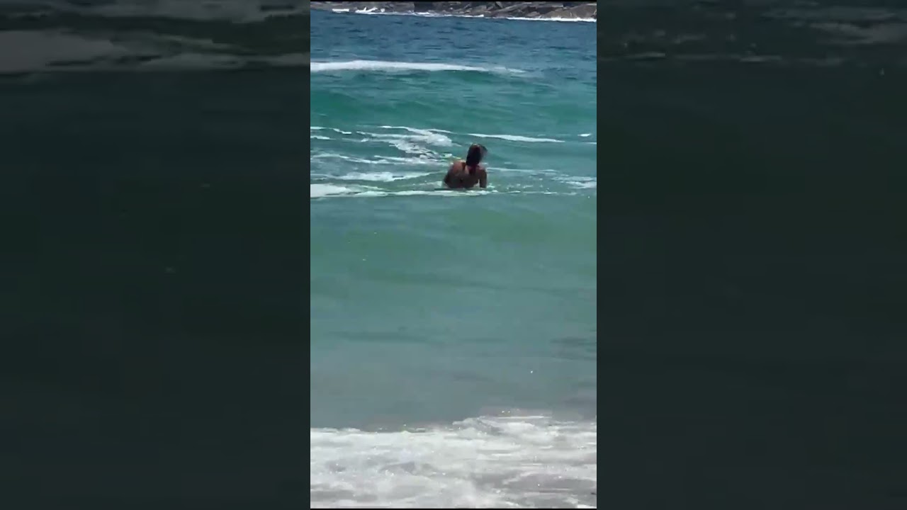 Small Seal Attacks Two Swimmers at Clifton Beach, Cape Town