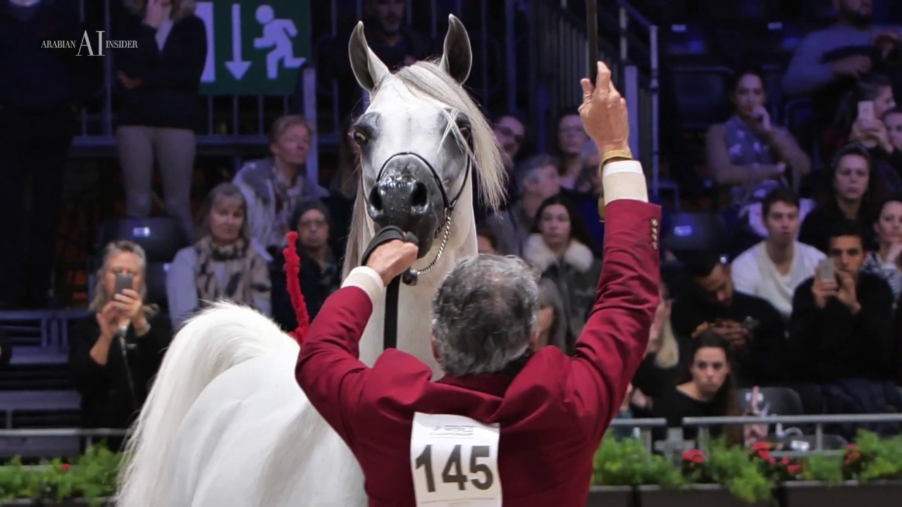 Hariry Al Shaqab