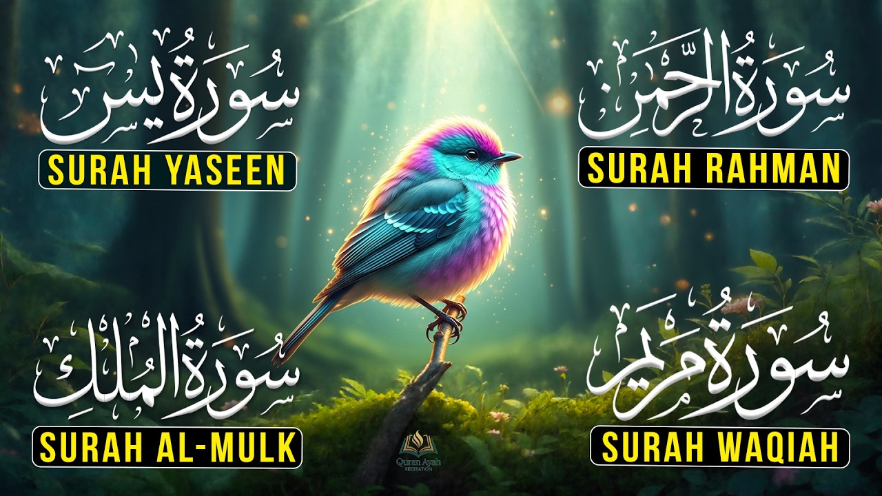 Beautiful Majestic Quran, Surah Yaseen, Surah Rahman, Surah Waqiah, Surah Mulk by Alaa Aqel - EP72