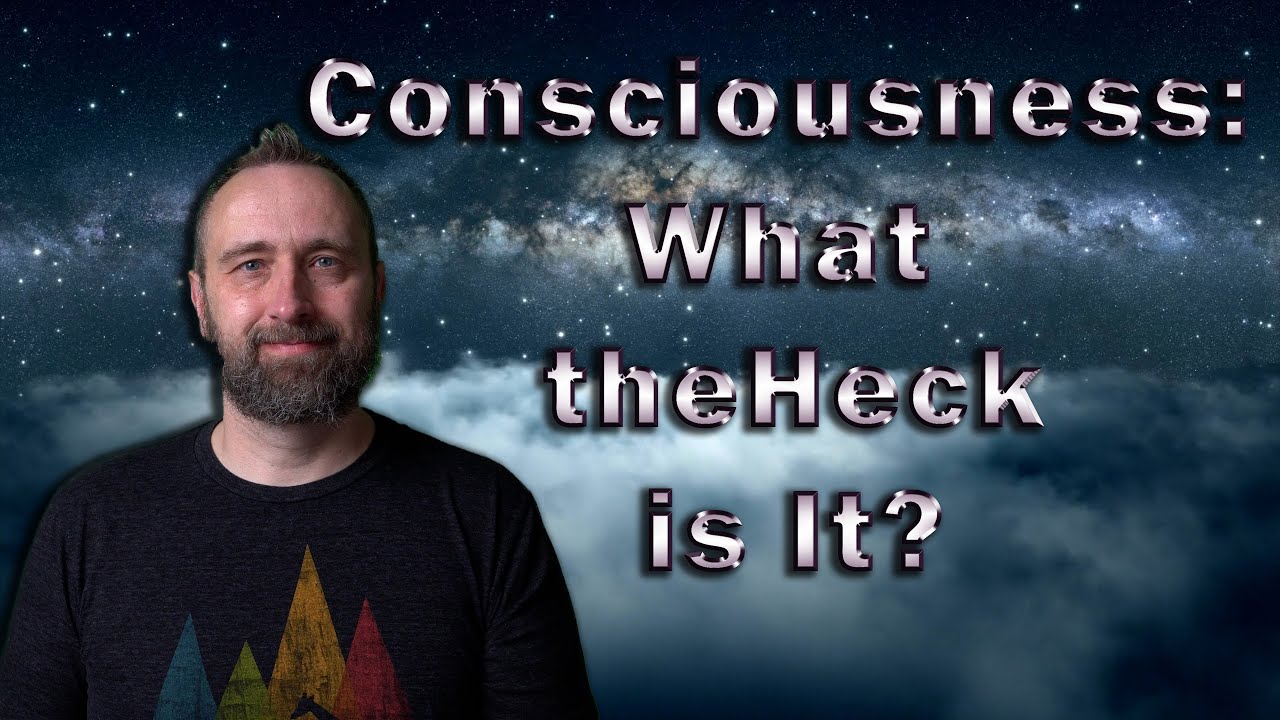 What the Heck is Consciousness?