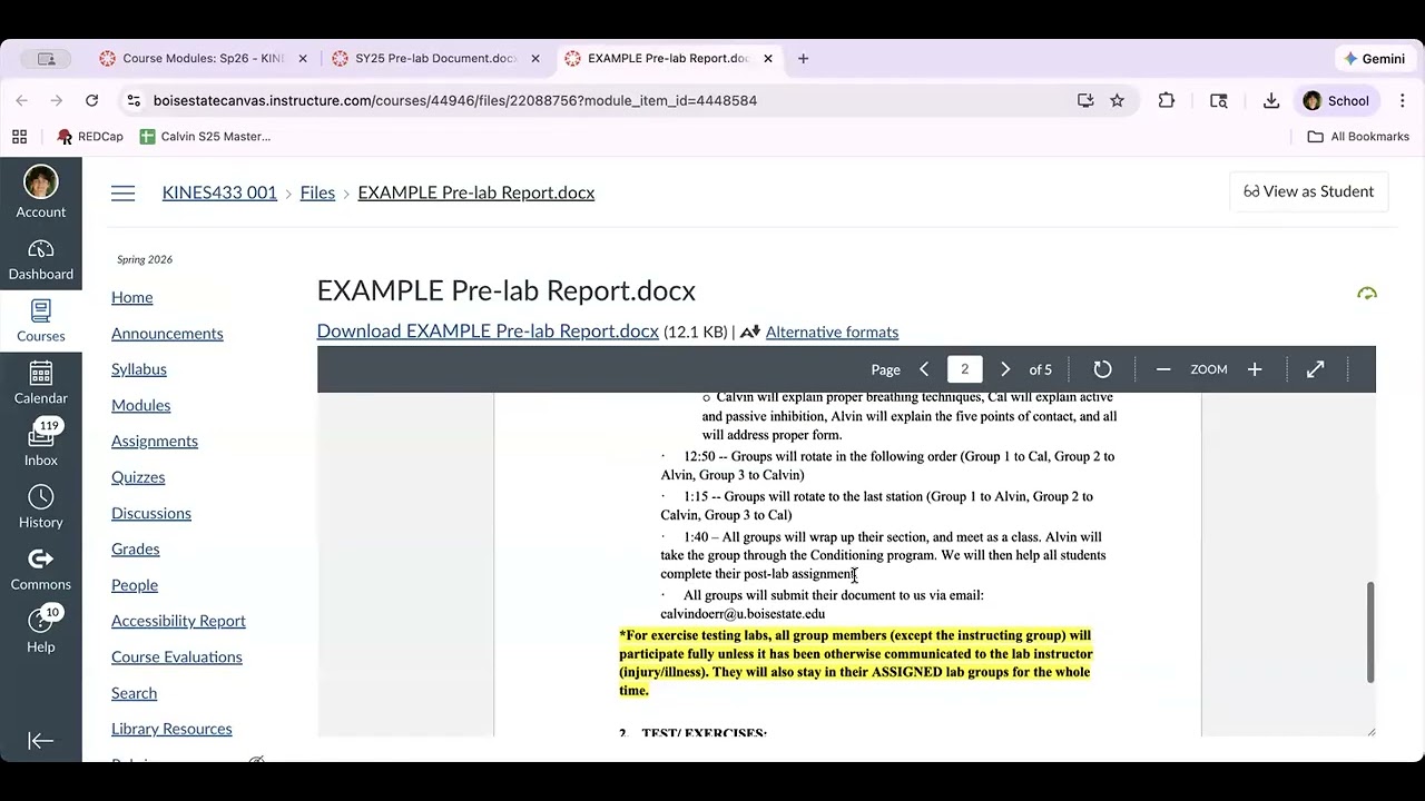 Pre-Lab Document Instruction & Tips