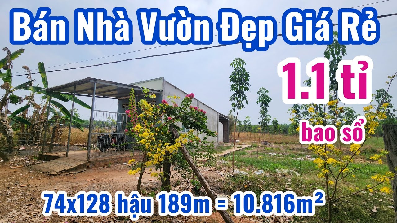 S.52 Bán Nhà Vườn Đẹp Giá Rẻ Pháp lý an toàn (74x129 hậu 189m=10.816m2)giá 1.1 tỉ bao sổ 