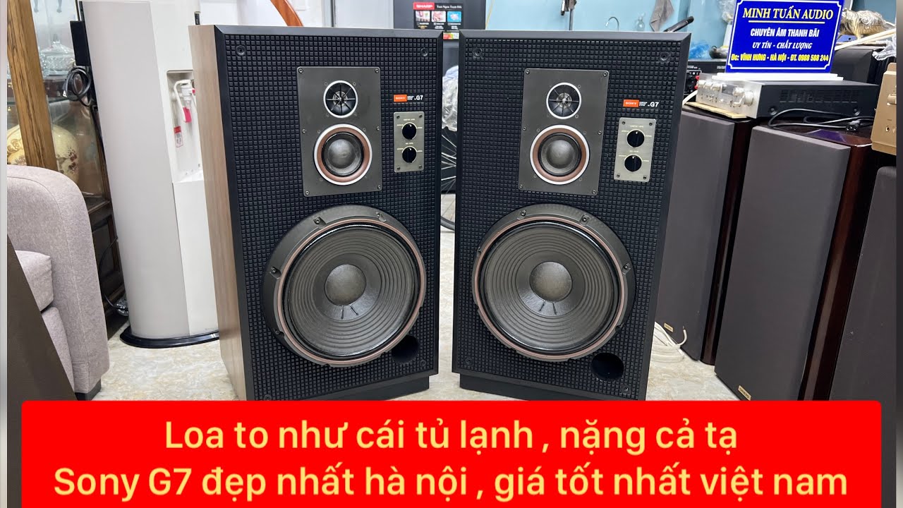 Cả năm nay giờ mới hặp lại khủng long nhà sony , loa SONY SS G7 , bass 40 , nặng cả tạ vừa nge vừa h