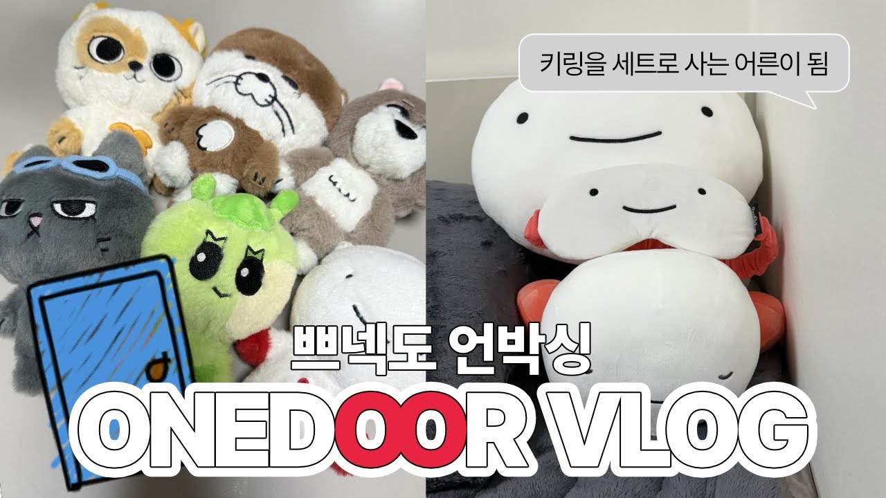 [원도어 브이로그 #6] 2n살에 내가 이룬 것 : 쁘넥도 키링 풀세트 | 쁘넥도 ▪ 쁘넥도키링 ▪ 보넥도인형 ▪ 럭프 ▪ 탯프