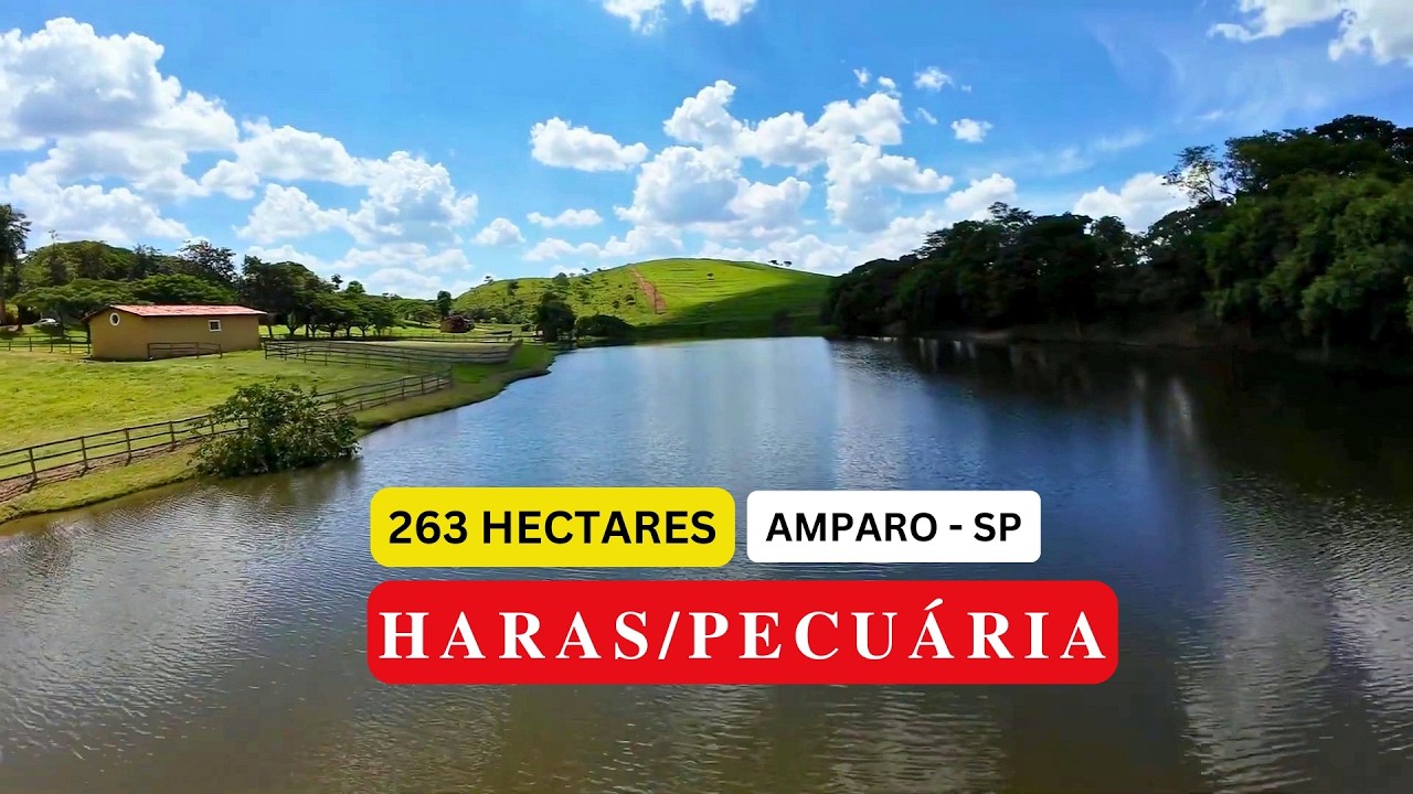 ATIVO ESTRUTURADO EM AMPARO - SP | Haras Completo 262 ha | PECUÁRIA | R$ 65 Milhões