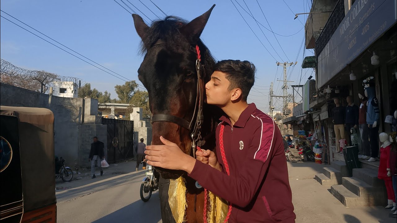 Markazi zuljanah sakhi badsha #zuljanah #zuljanahvideos 