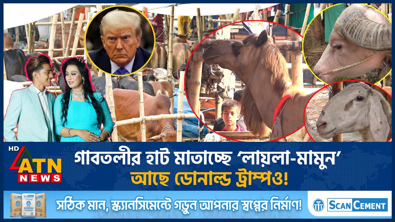 গাবতলীর হাট মাতাচ্ছে ‘লায়লা-মামুন’, আছে ডোনাল্ড ট্রাম্পও! | Gorur Hat | Laila | Mamun | Donald Trump