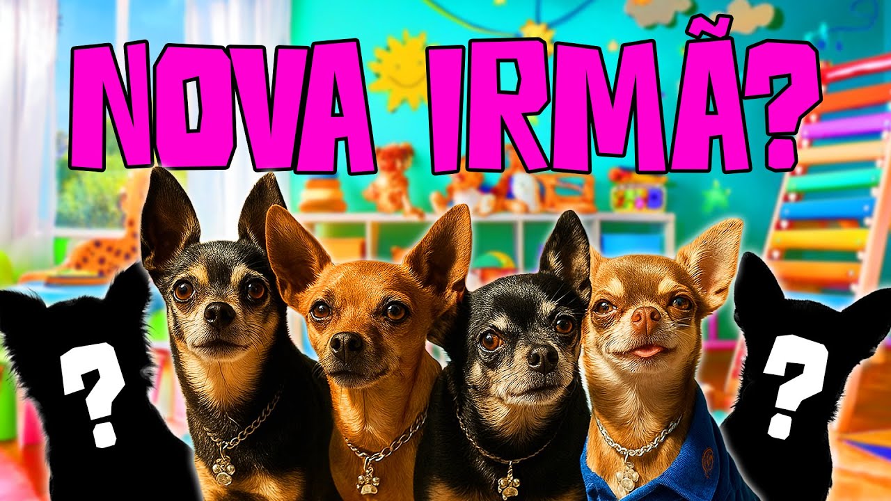 DESCOBRINDO QUE TEREMOS UMA NOVA IRM&Atilde;!