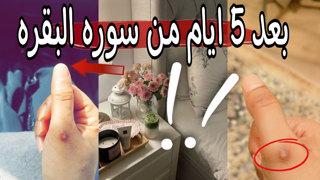 كيف تخلين نتائج سوره البقره تظهر في اقل مده 💪🏻وحقيقيه قرائه سوره البقره يوميا !!🤚