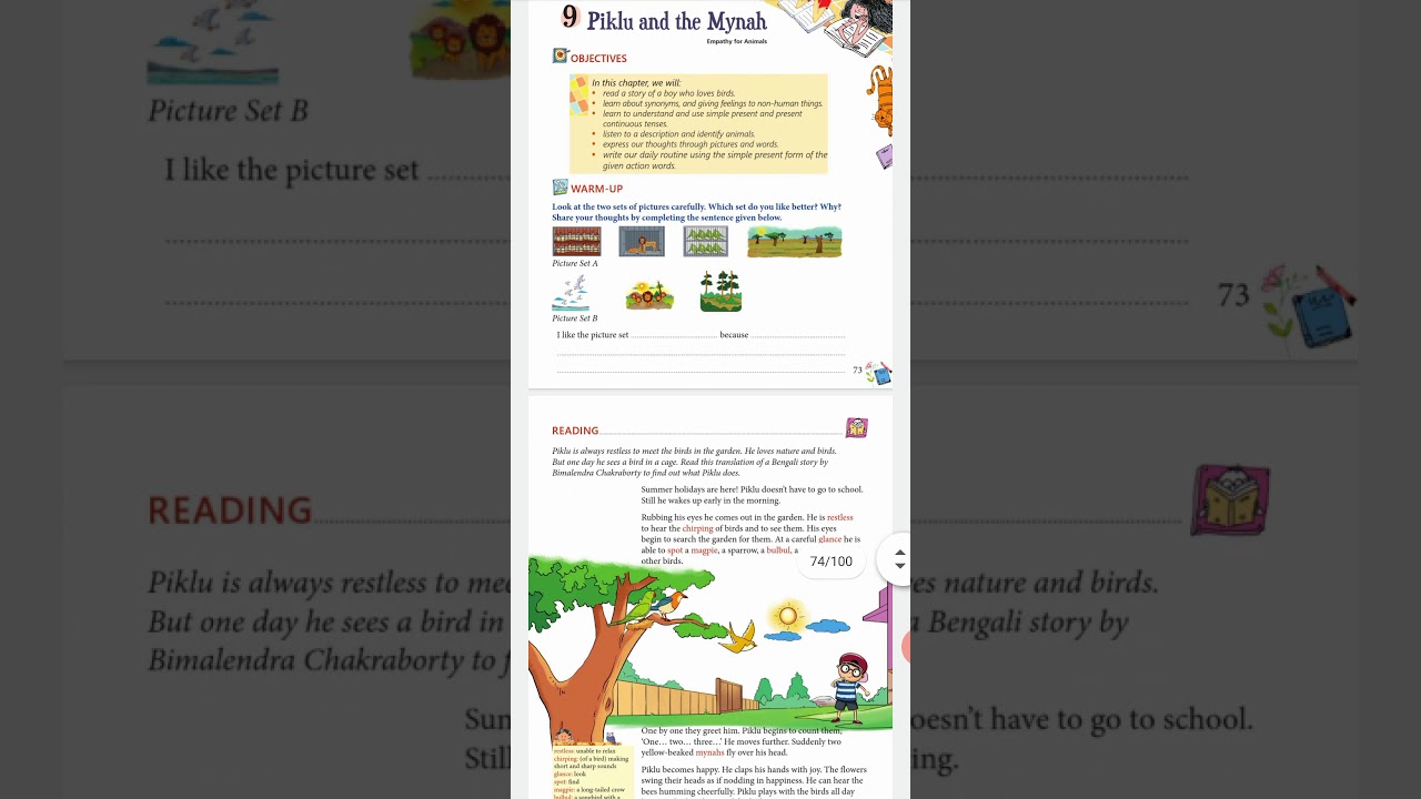 Piklu and the mynah chapter 9 English alive coursebook class 2