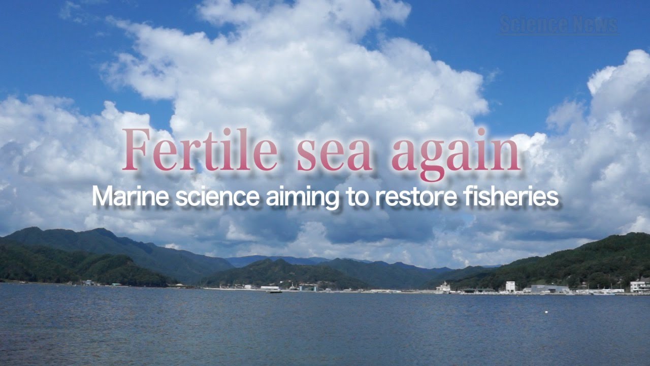[ScienceNews2014]Fertile sea again -Marine science aiming to restore fisheries-