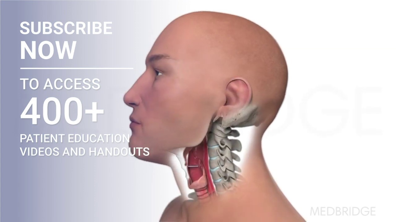 Chin Tuck - Patient Education | MedBridge