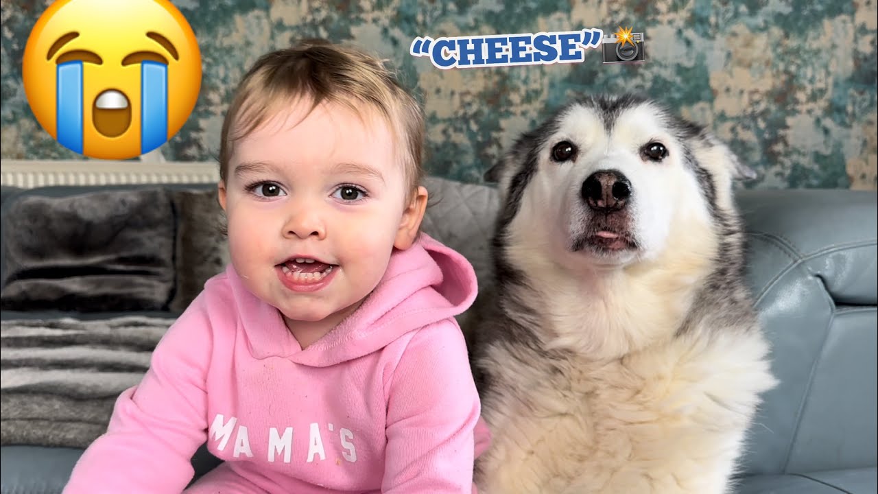 Adorable Baby Asking For Selfies With Her Husky!😭📷. [CUTEST EVER!!!!]