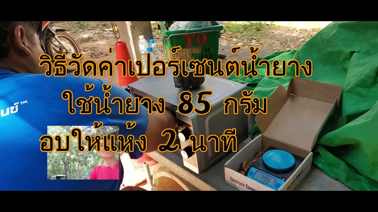 วิธีวัดเปอร์เซ็นน้ำยาง ตาชั่งจิ๋วชั่งได้เป็นตัน ยางพารา