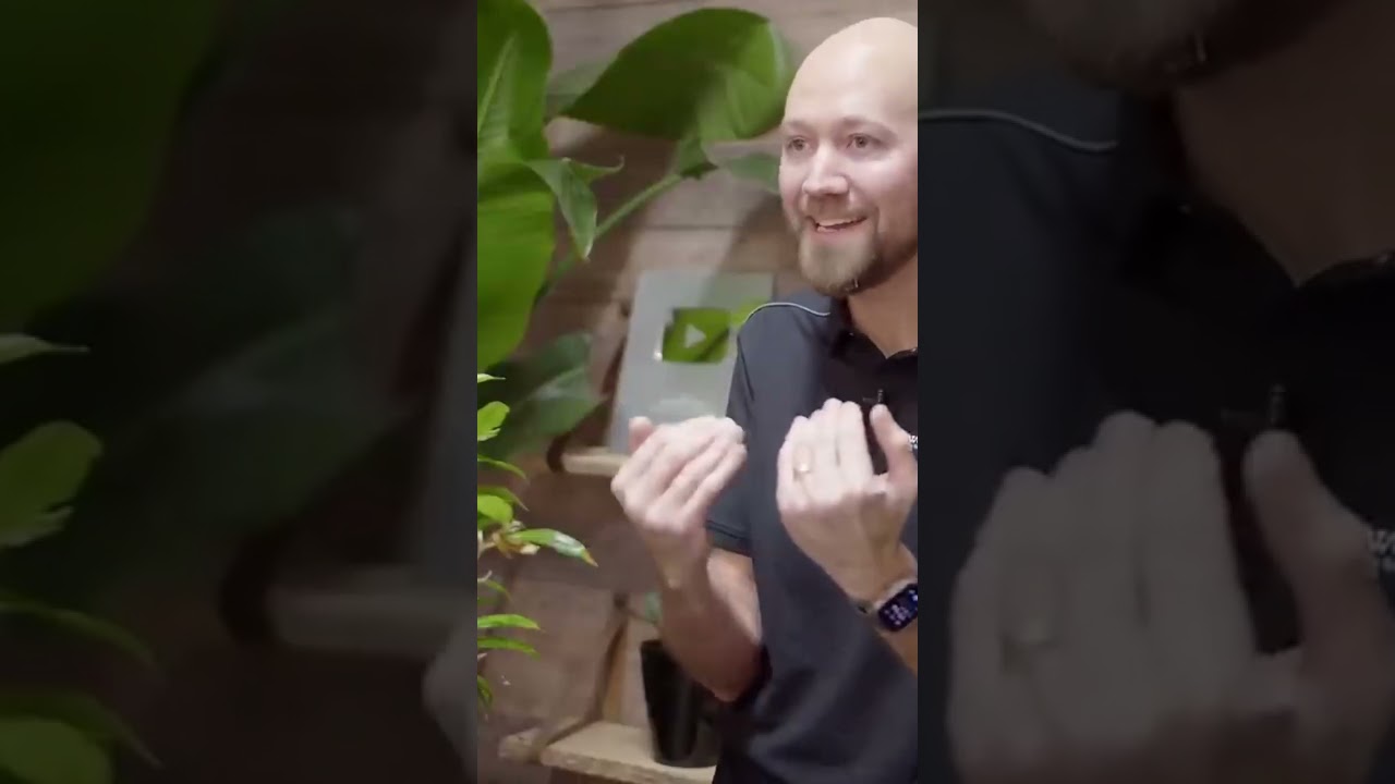 Heating system - how does it affect our plants? 🪴 #plants #houseplants @SwedishPlantguys