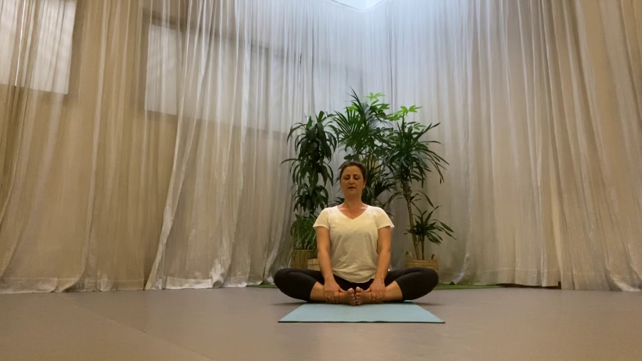 Vidéo 1 : Yoga Intégral - Tous niveaux