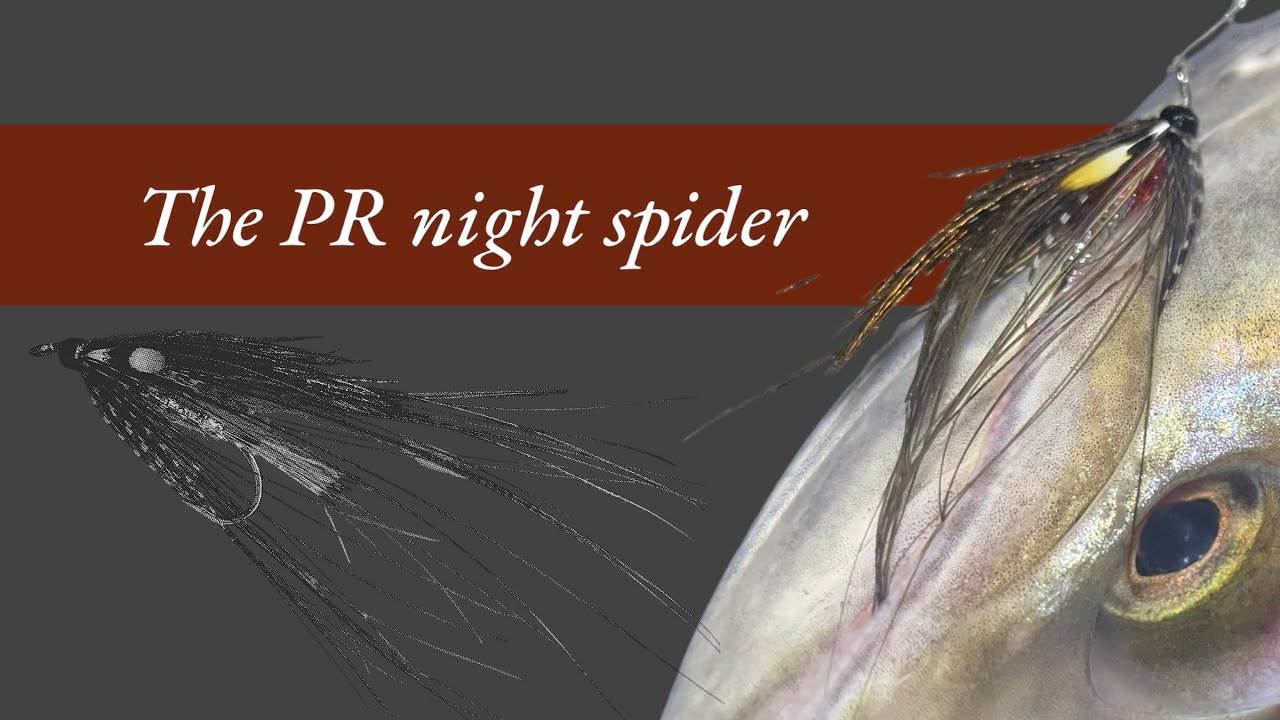 Sea trout fly - the PR night spider by Rob Redman -low water sea trout fly