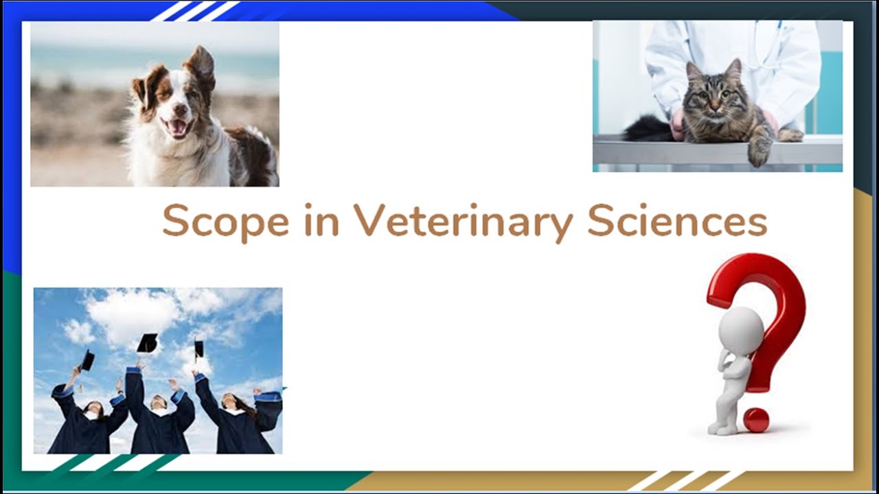 opportunities, scope in Veterinary # what BVSc and AH/MVsc and PhD degree holders can do?