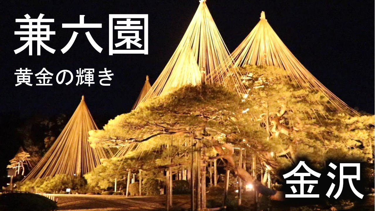 兼六園ライトアップ - 冬の風物詩が金箔のように輝く - 金沢観光