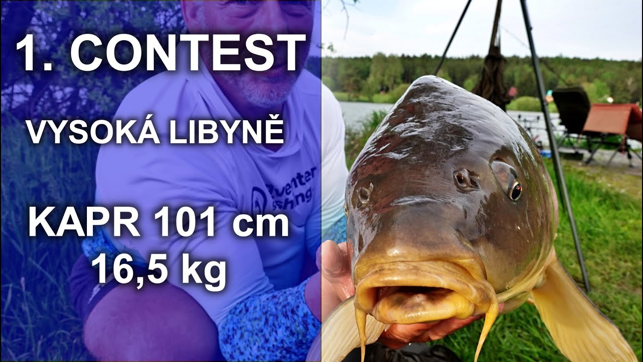 Lov velkých kaprů v contestu OTEC X SYN carp fishing @fishhobo @kubafishing #fishhobo #kaprarina